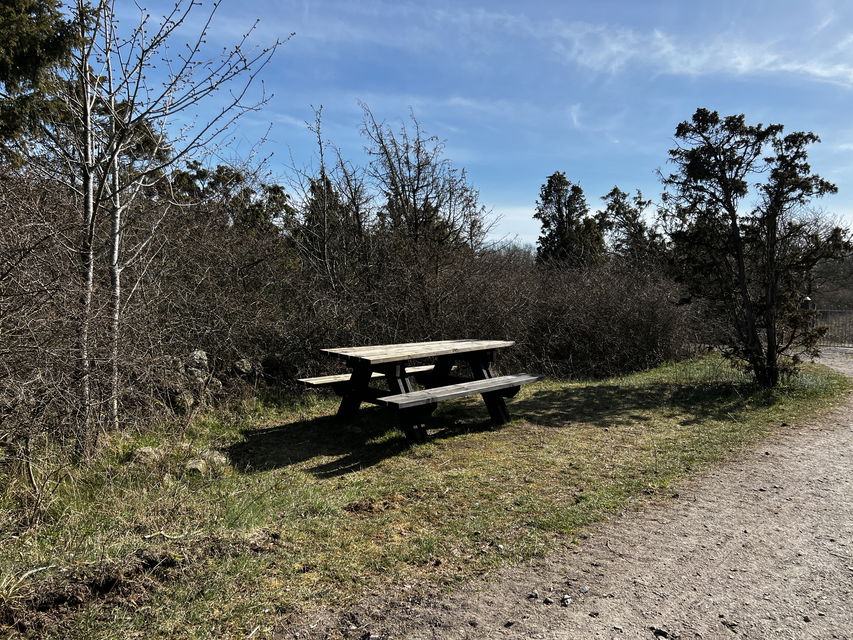 Rastbord i glänta vid grusad yta