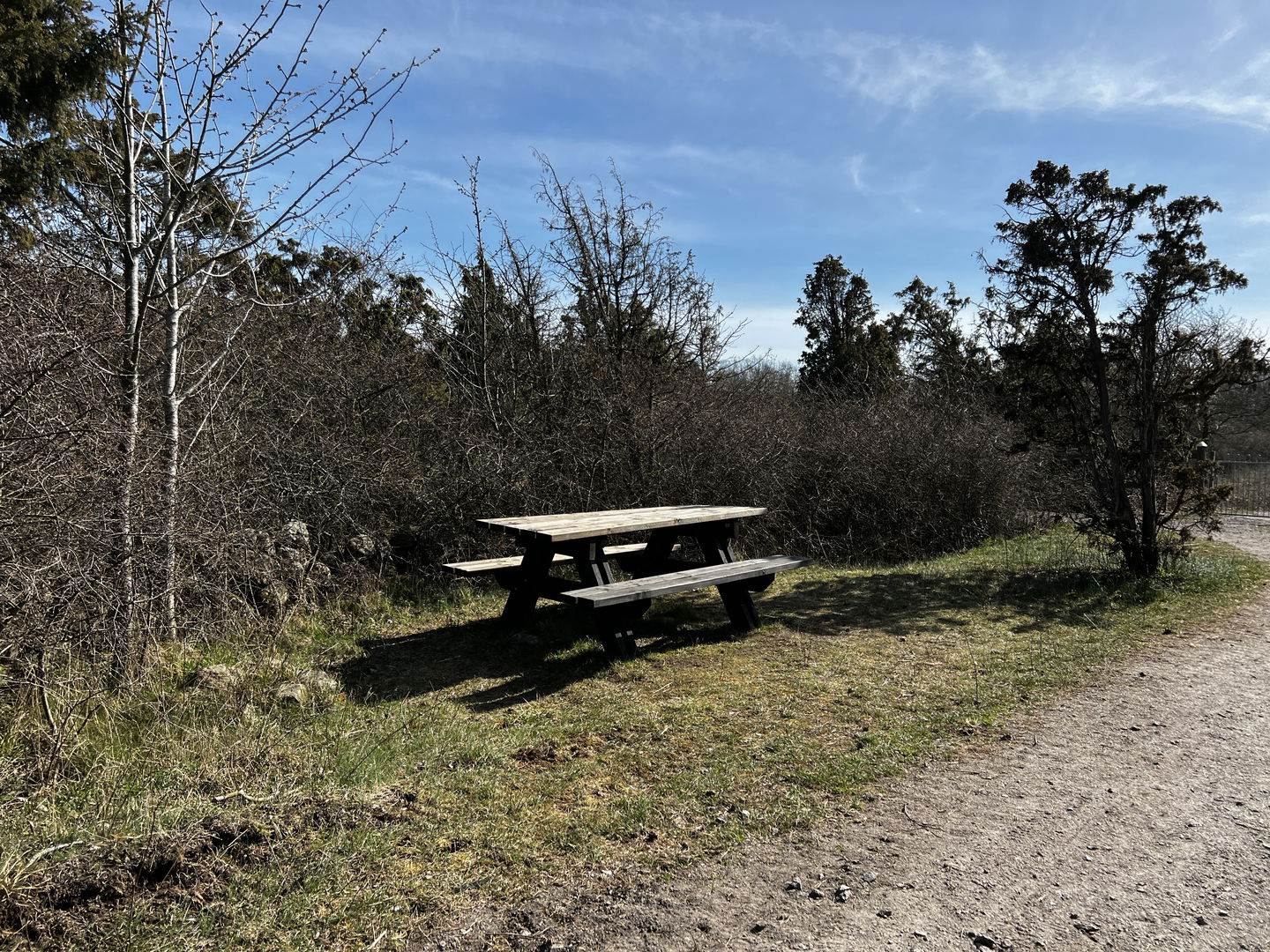 Rastbord i glänta vid grusad yta
