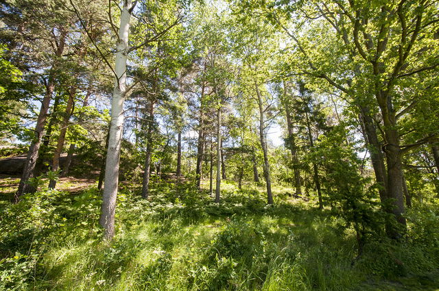 Lisebergsparken i Östberga