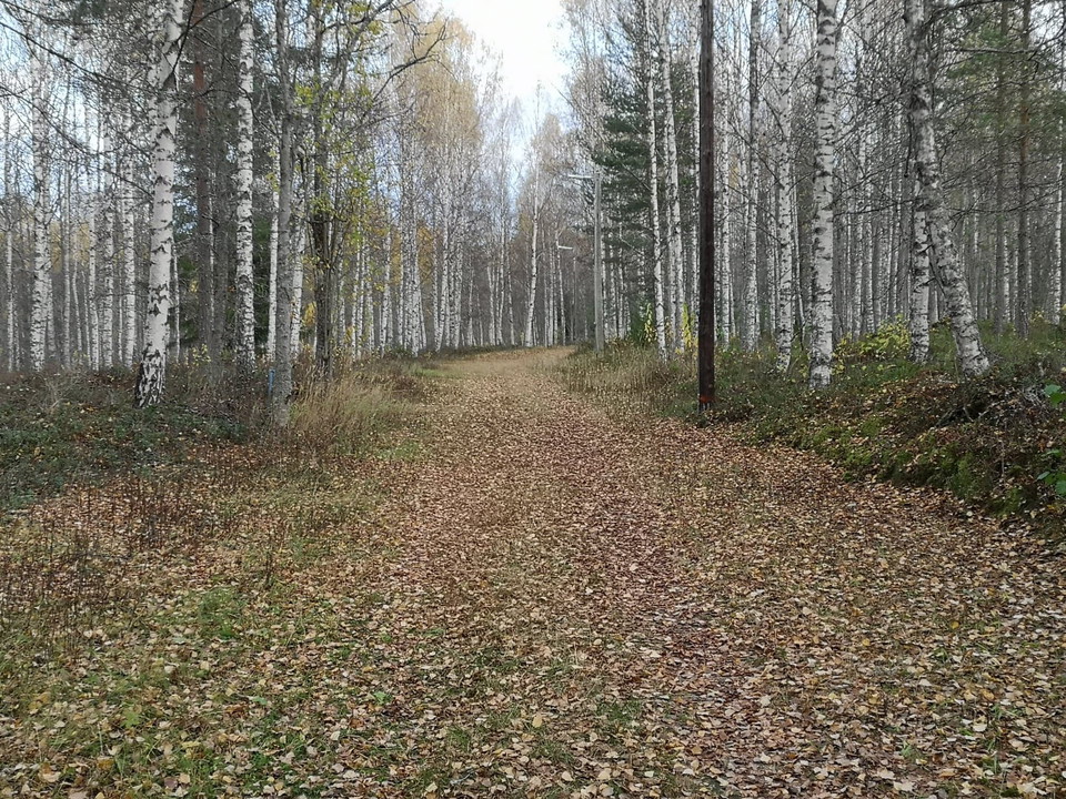 Många flacka partier.