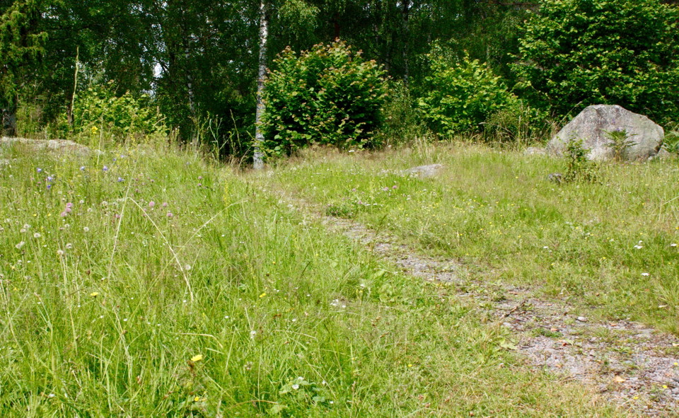 En smal stig går genom en äng.