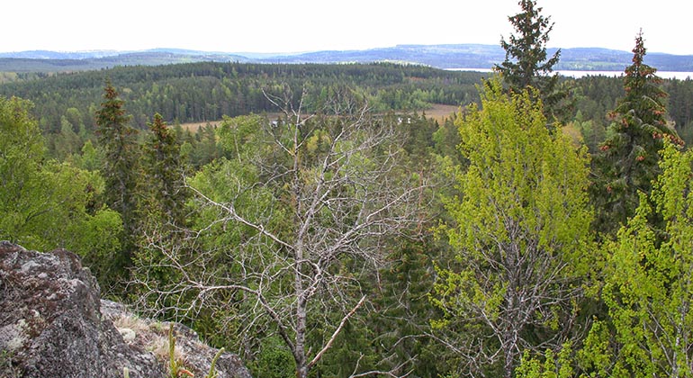 Sundsjömarken.