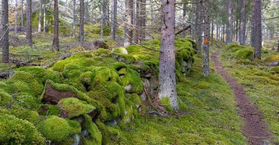 Kyrkstigen mellan Nargöl och Malexander.
