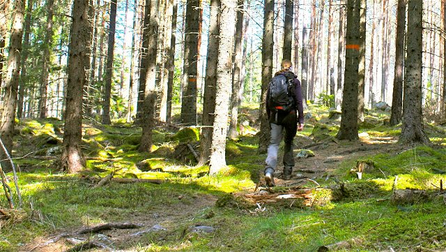 The Uppland Trail, Section 4, 10 km