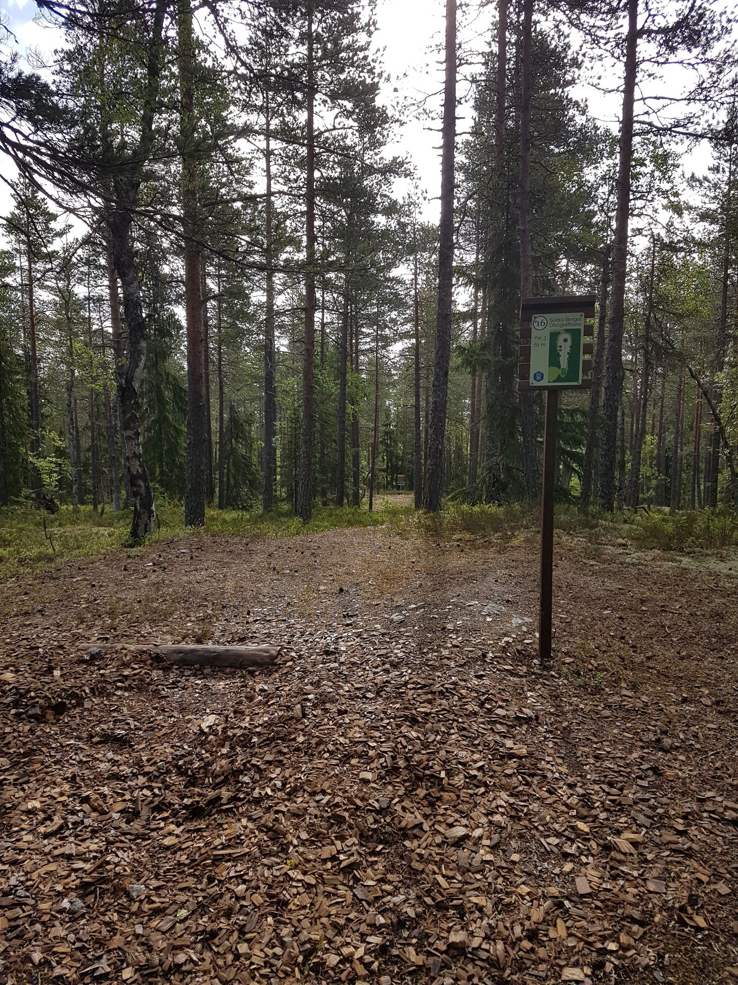 Utkasten är markerade med tvärliggande stock och skylt för hålet
