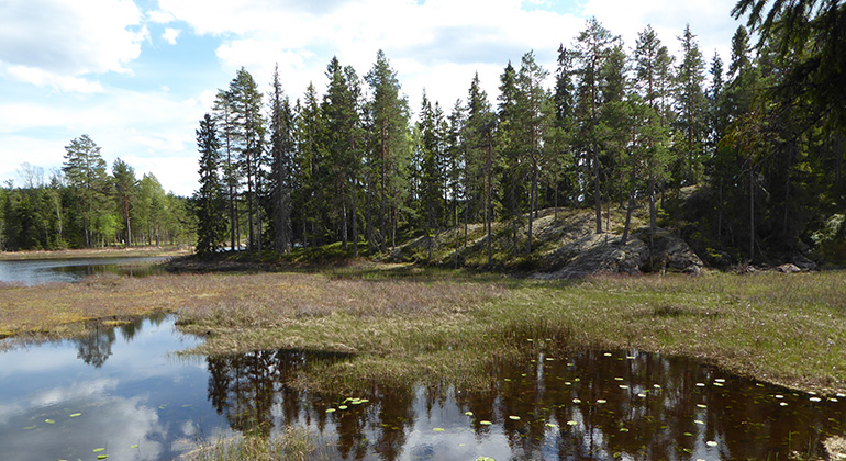 Naturreservatet Tegsnäset.