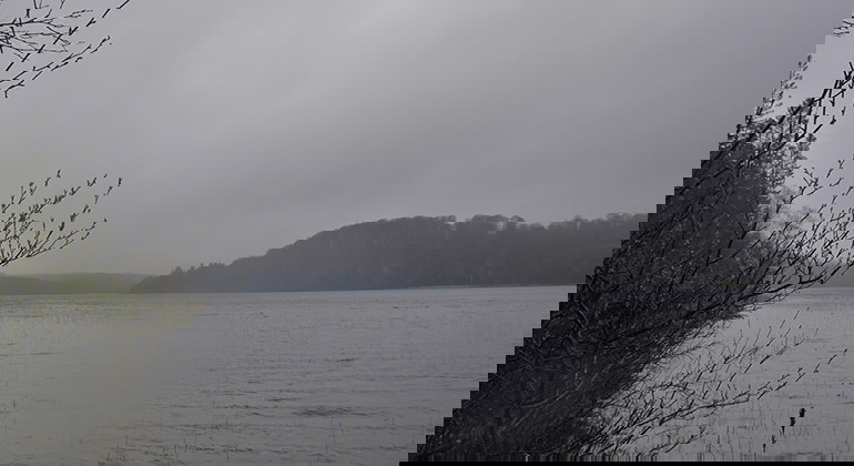 Vy över sjö en grå dag