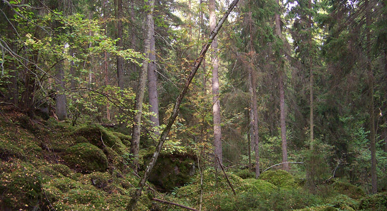 Åtvidaberg