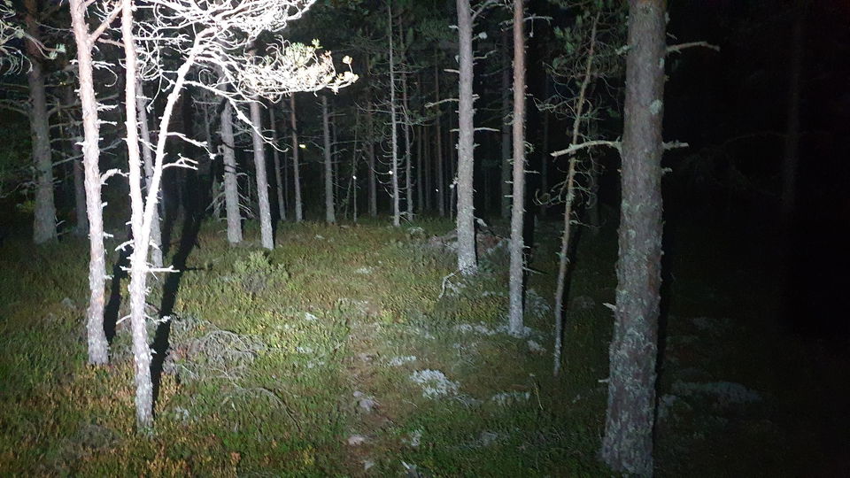 Reflexbanan vid Hällåsen