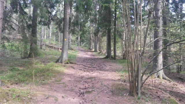 Motionsspår Skogsfemman 5 km Flemingsbergsskogen