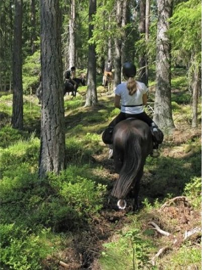 2-days in Tiveden National Park on horseback and in kayak