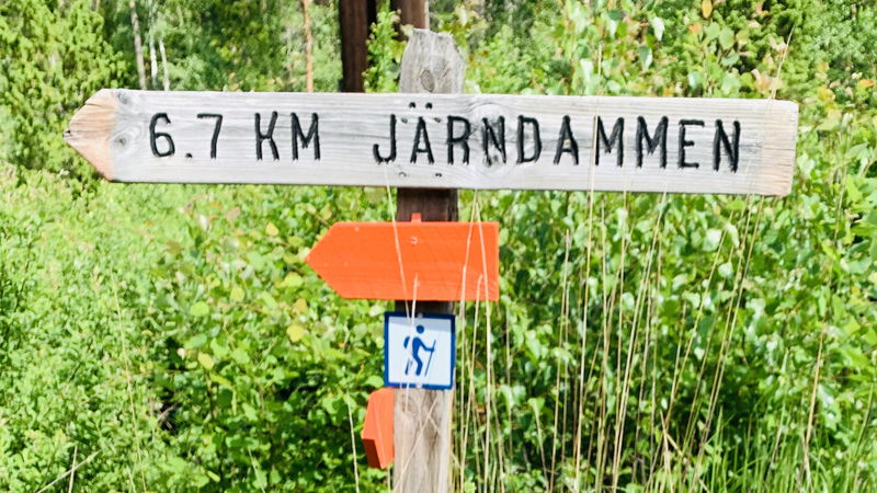 Ledmarkering i skog med träskylt och orange målat band runt träden.