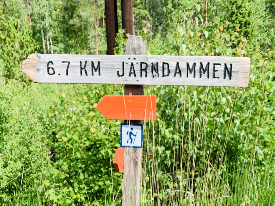 Ledmarkering i skog med träskylt och orange målat band runt träden.
