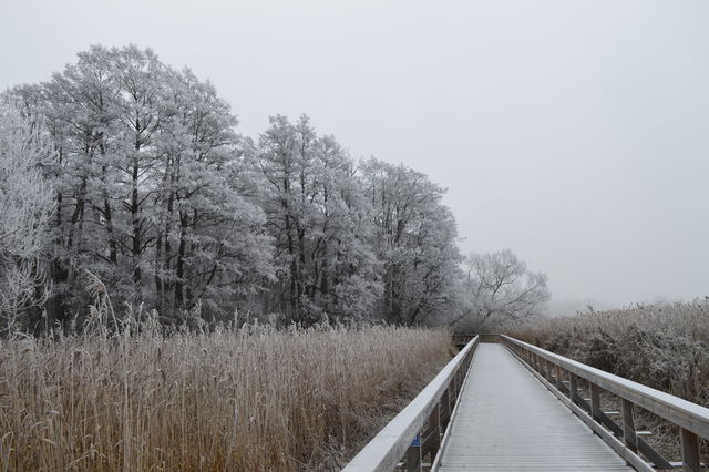 Vårdsätra naturpark