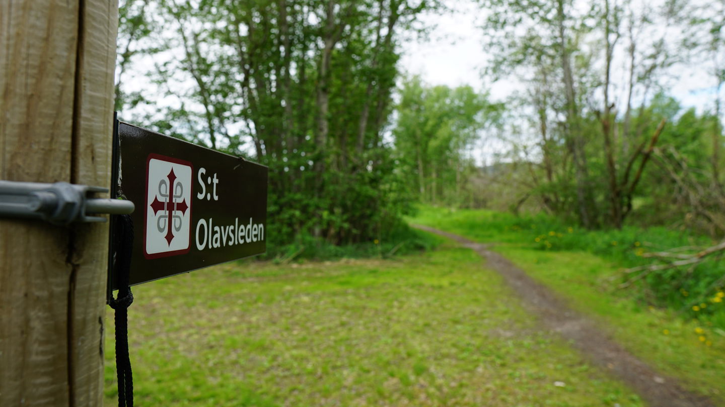 Selångersfjärden runt följer delvis S:t Olavsleden