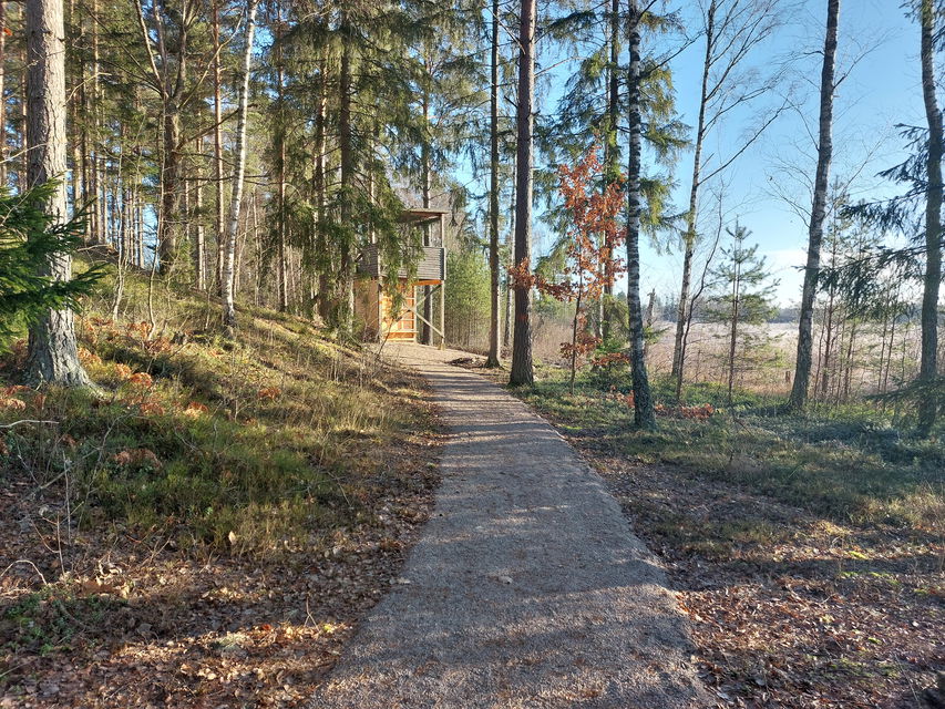 Grusad gångväg från skolgård till fågeltorn