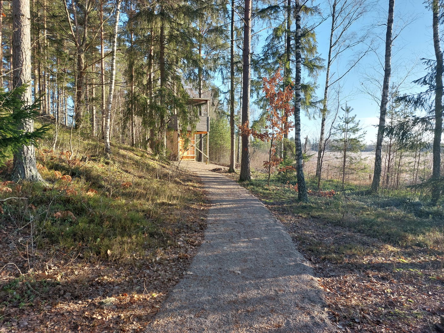 Grusad gångväg från skolgård till fågeltorn