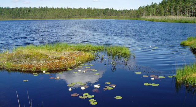 Trangärdet, Naturreservat