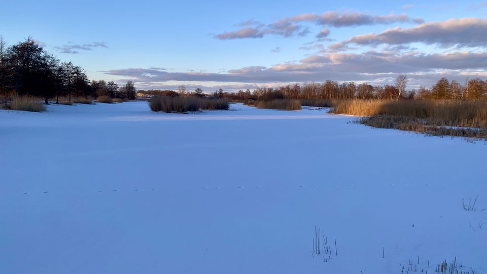 Is- och snöbeklätt dämme