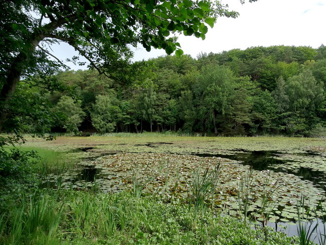 Röd stig, Östra Kullaberg