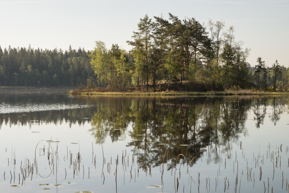 Fotograf: Tobias Ivarsson