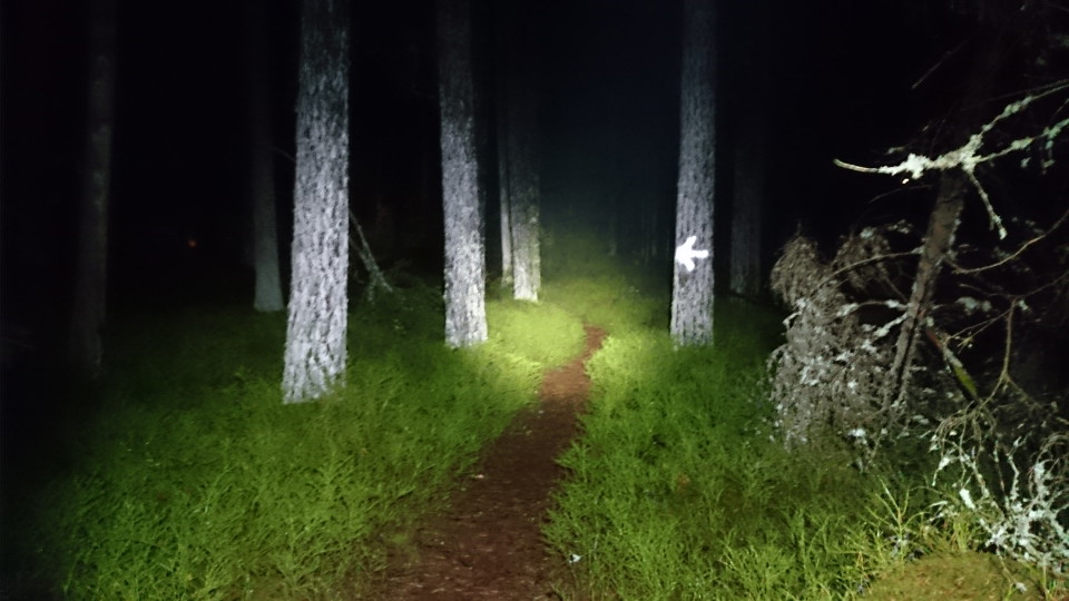 Ledmarkering synlig med pannlampa