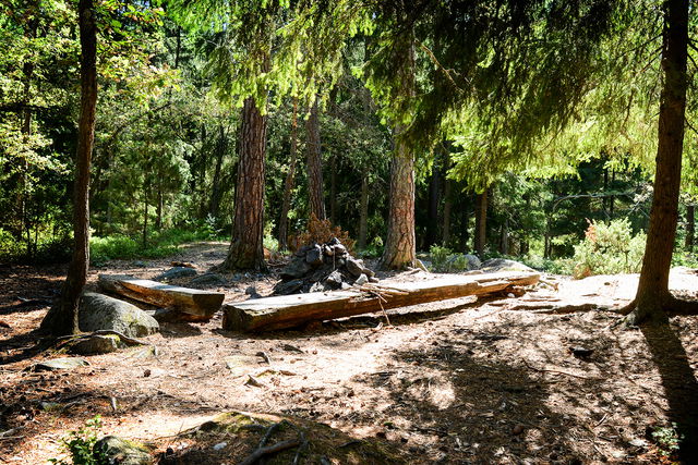 Grillplats söder om Alkärret - Älvsjöskogens naturreservat