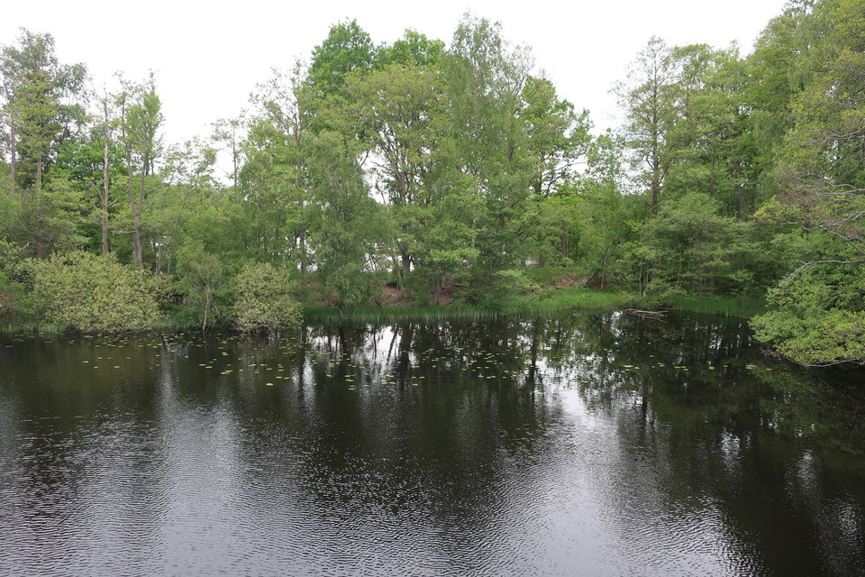 Längs Karlsnäsleden vandrar du längs Ronnebyån.