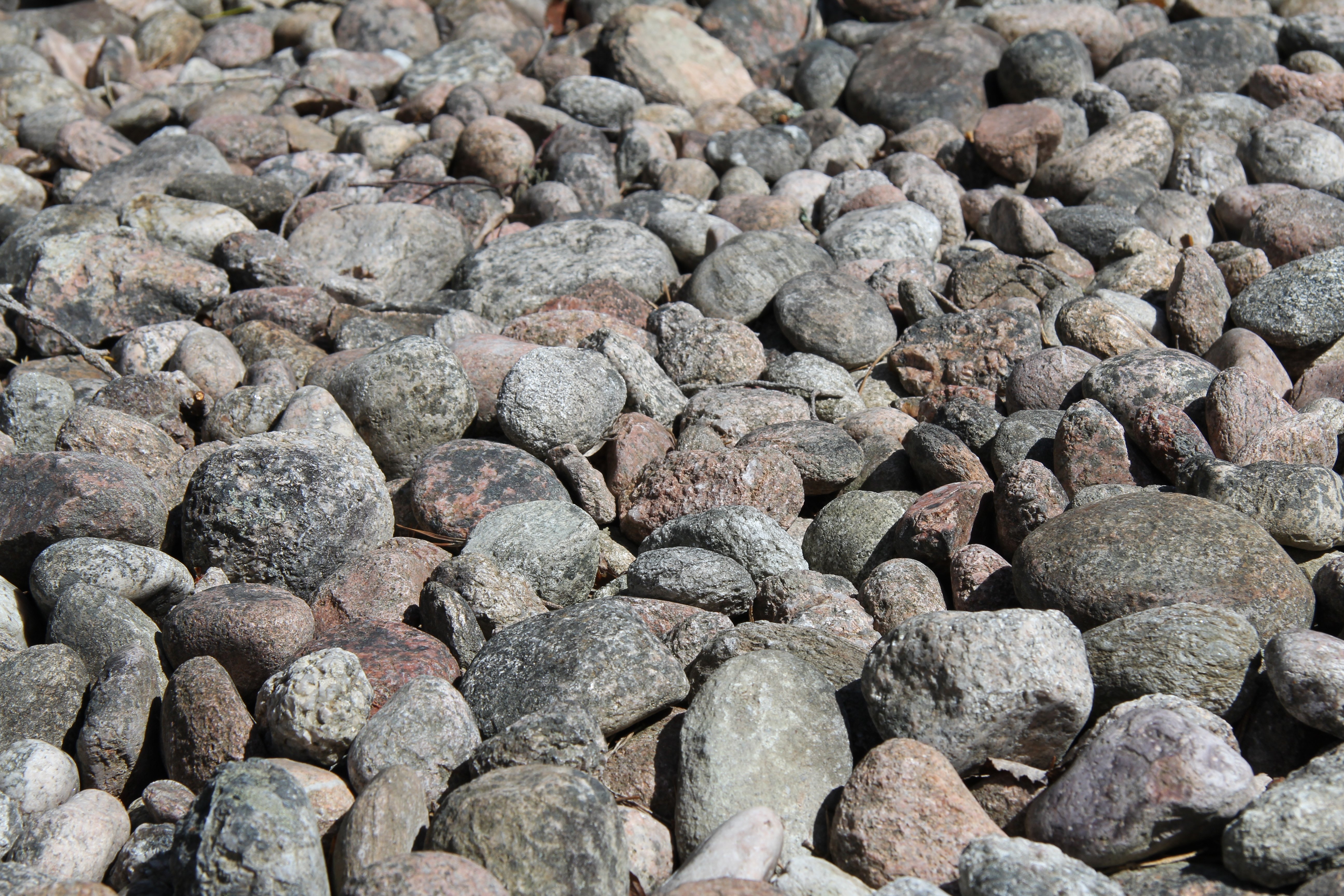 Närbild på rullstenar, stenar som slipats av havet.