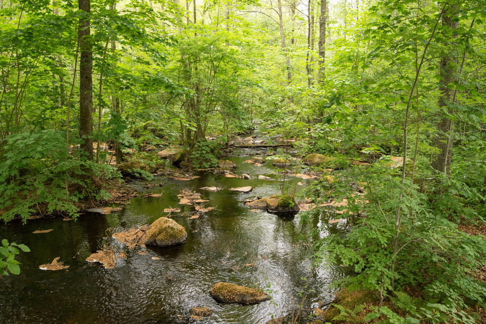 Fotograf: Tobias Ivarsson