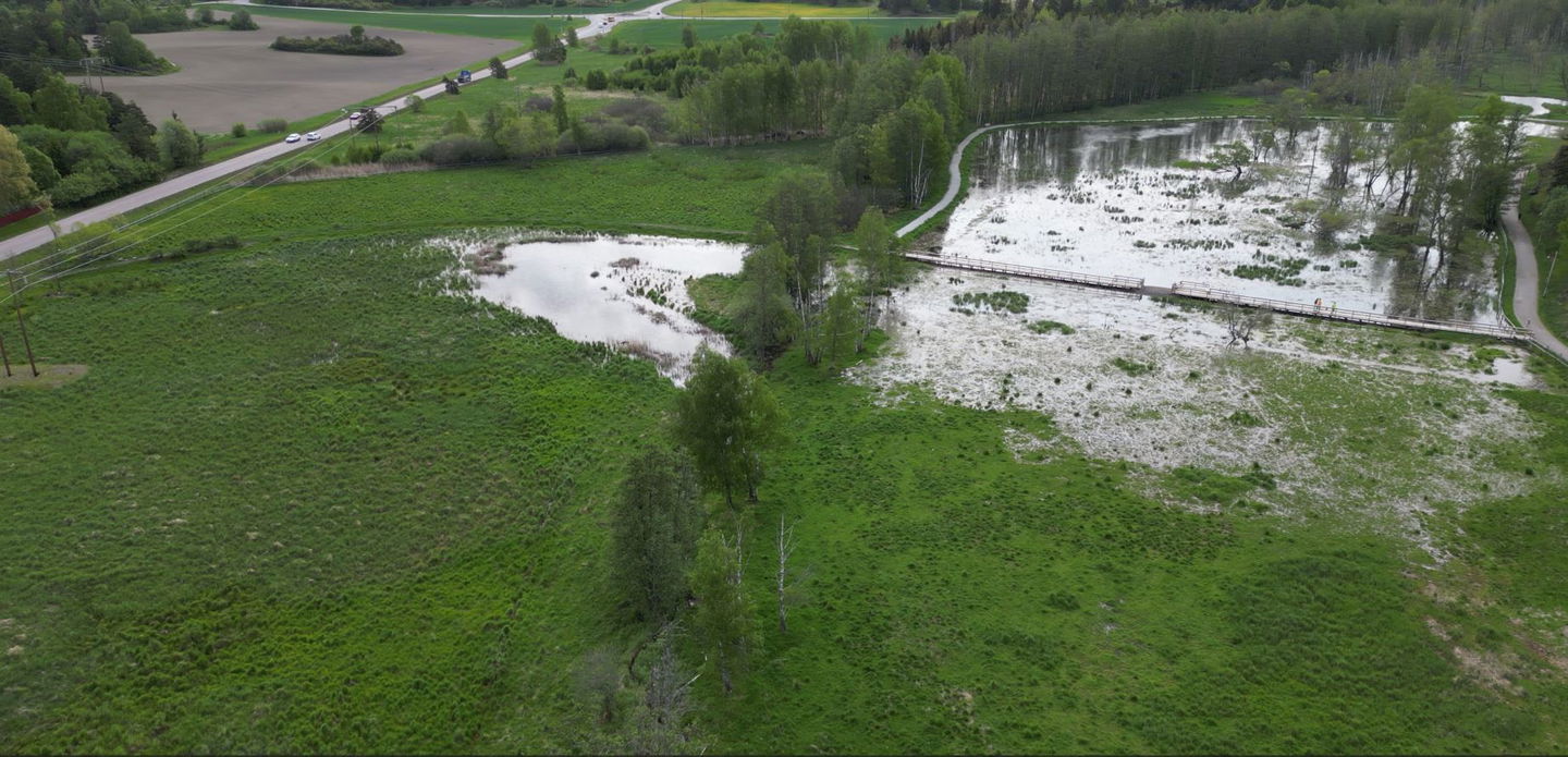 Våtmarksområdet är totalt över tre hektar stort.