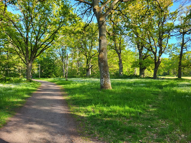Stensö motionsspår