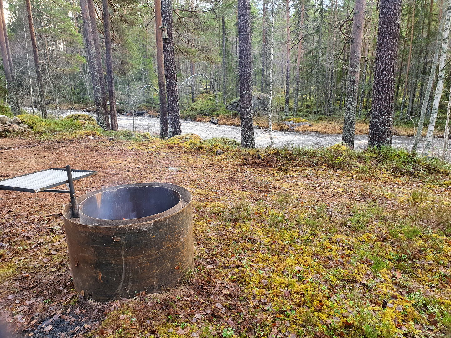 Eldplats med grillgaller med utsikt över den forsande ån.