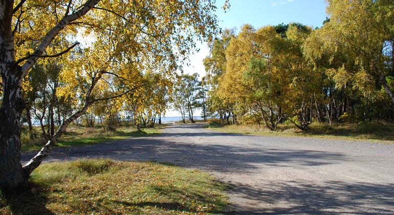 Parkeringen vid stranden.