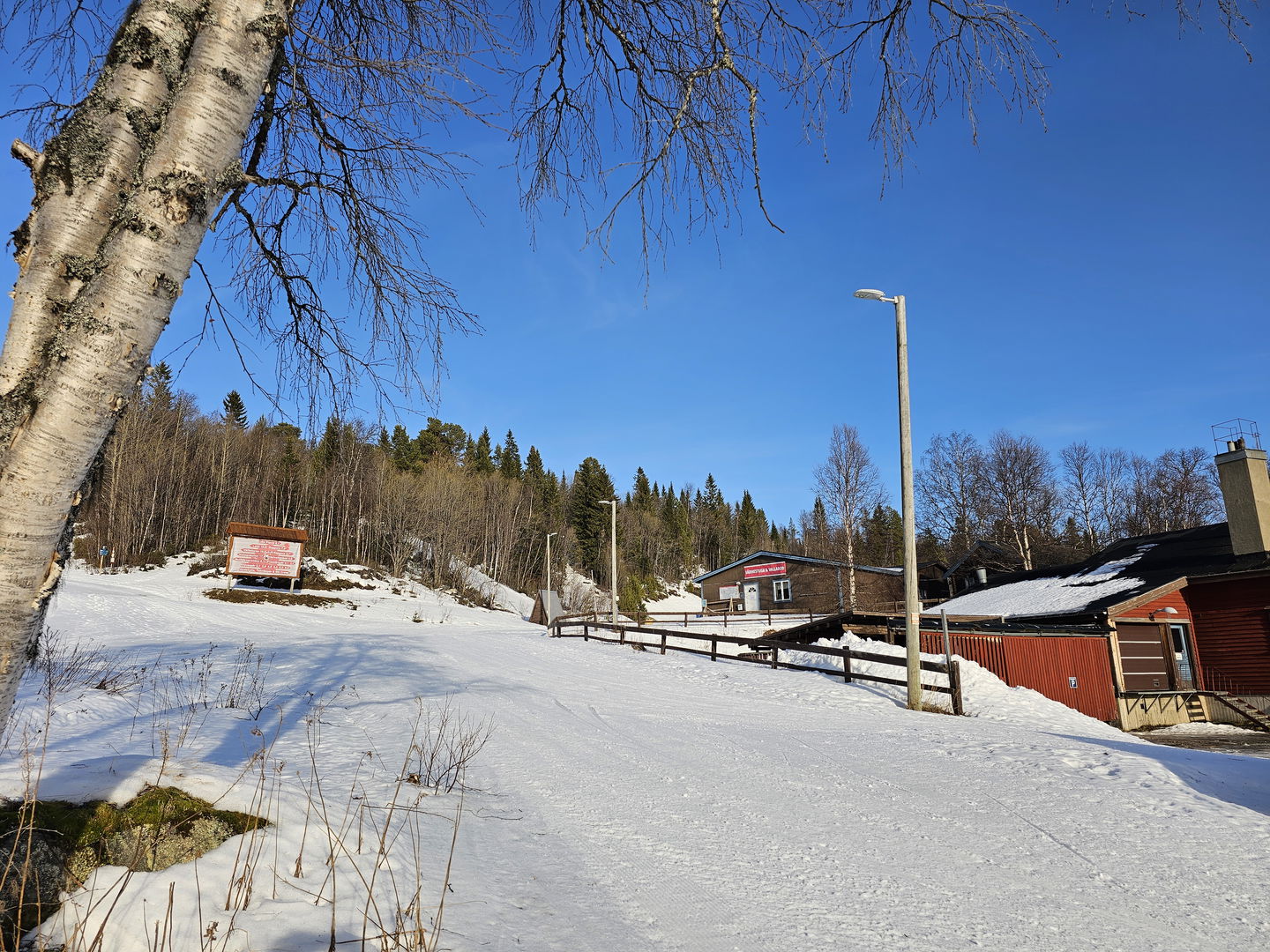 Ett träd som står snett in i bilden som visar en snöig yta bredvid ett rött hus.