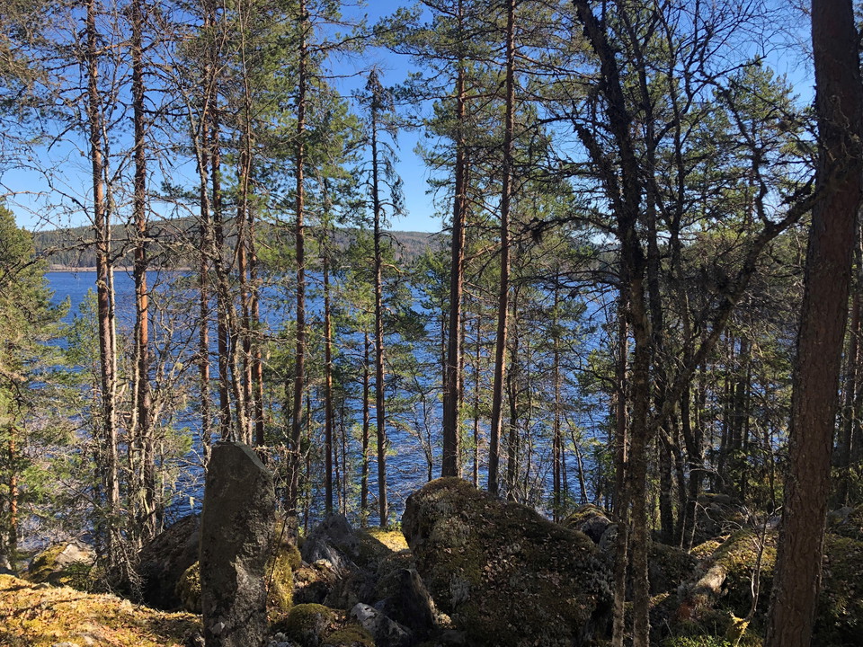 Utsikt över Rällsjön.