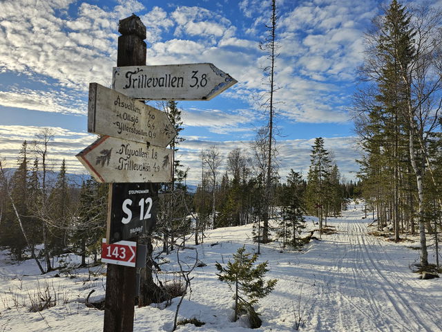 143 Ripkallhöjden (vinterled, Trillevallen)