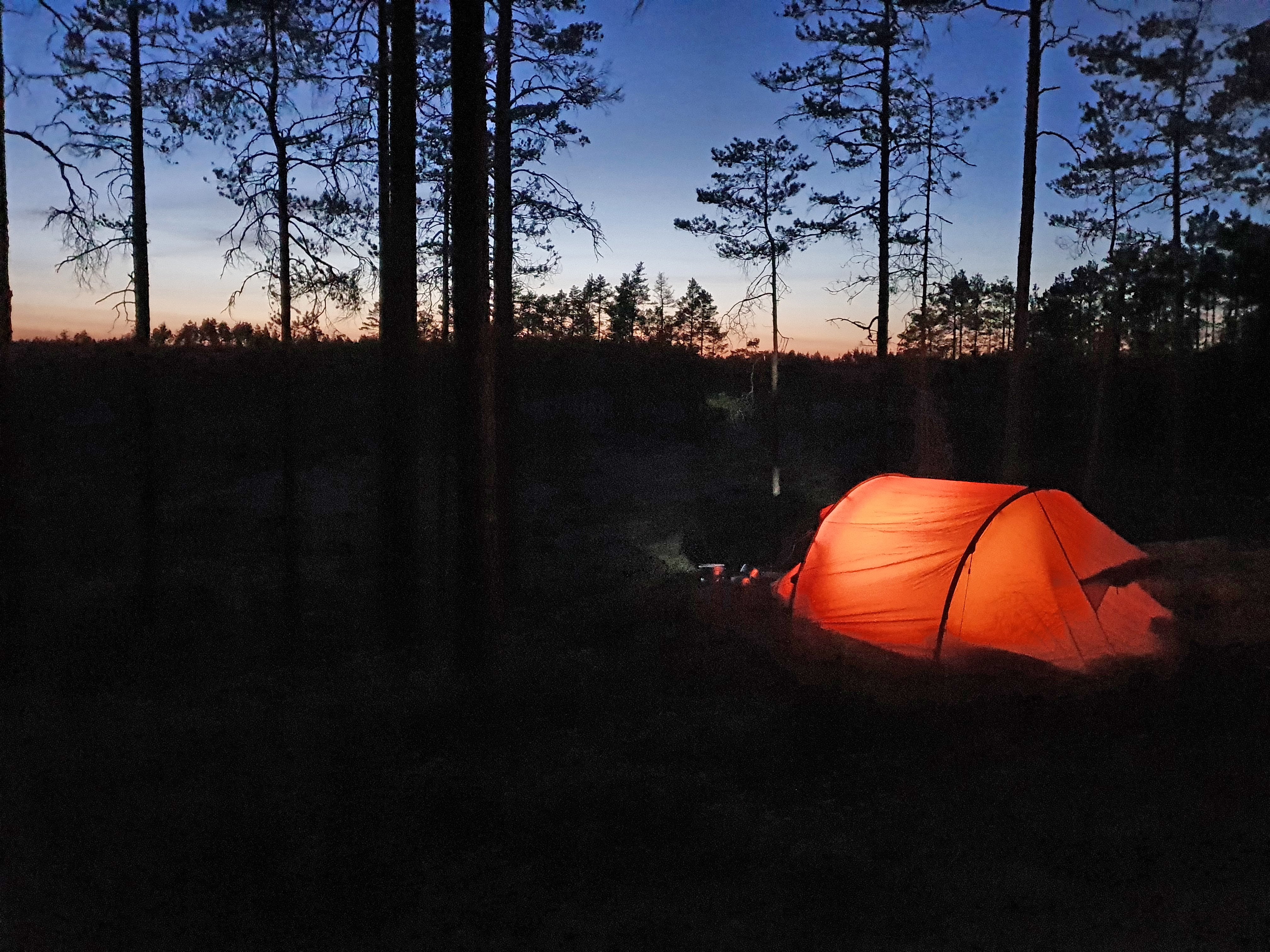 Ett tält som är upplyst inifrån står i en skogsglänta i skymningsljus.