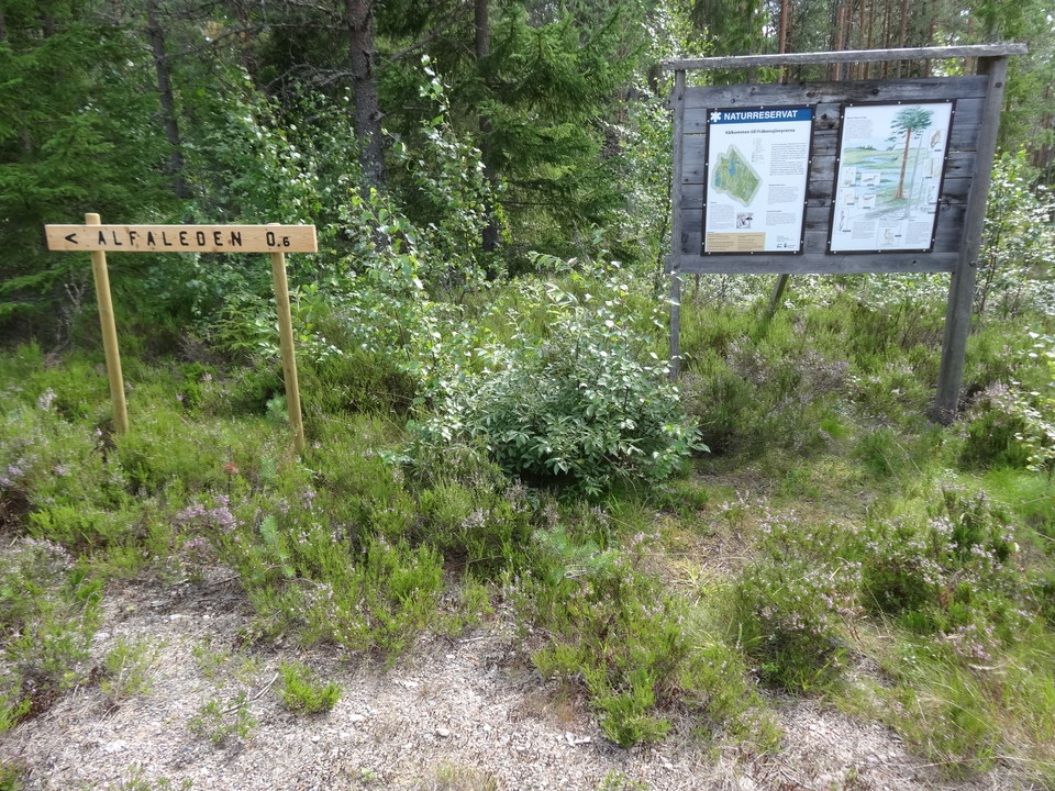 Information om reservatet och myrar.