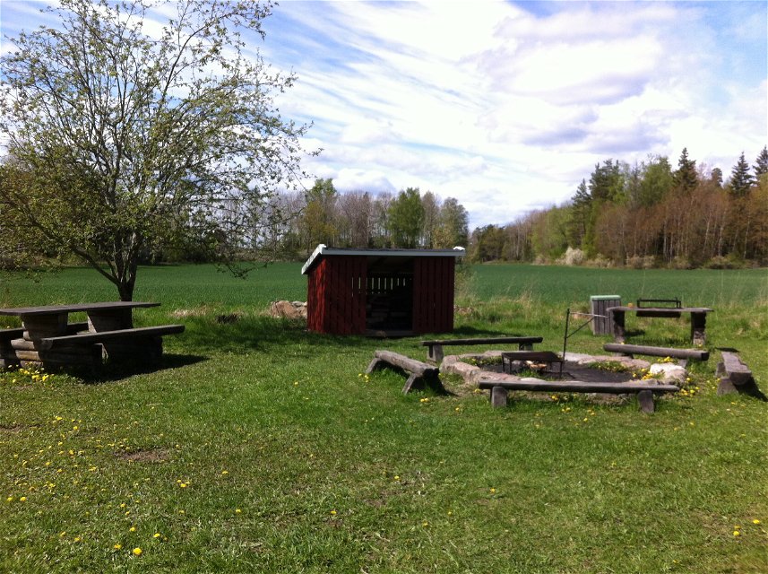 På en öppen gräsyta står en grillplats med sittbänkar runtom. I bakgrunden står en vedbod och ett bänkbord.