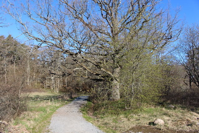 Farsta slottviks ridstig
