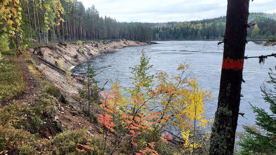 Flottarstigen vid Kölströmmen