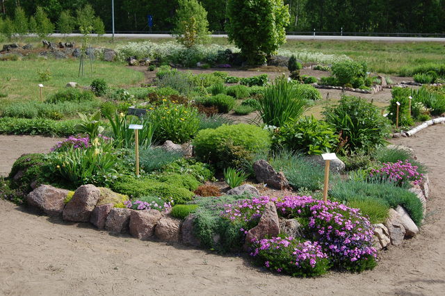 1. Kalvkätte trädgård
