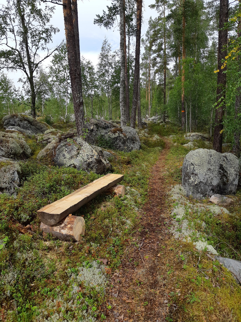 Gamla cykelvägen vid Västerhocklan..