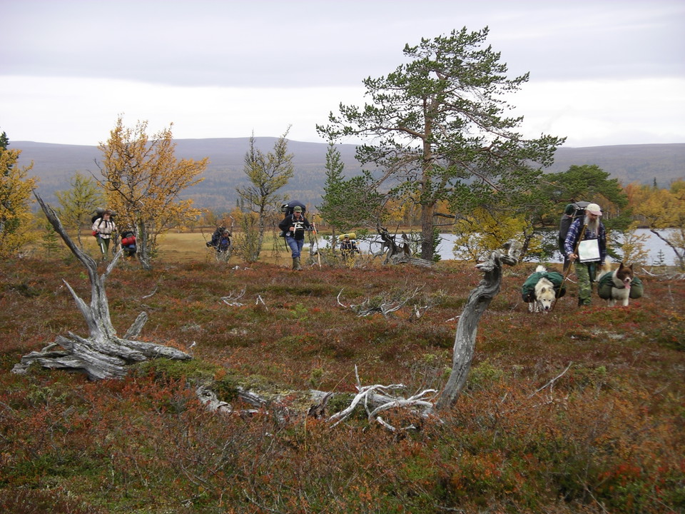 Middagsåsen vid Middagstjärn.
