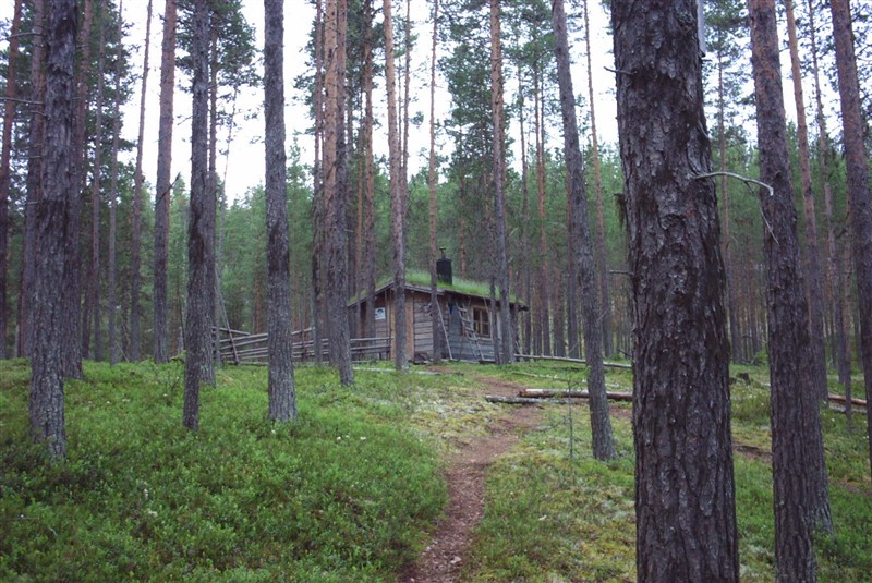 Isälvsleden offers varied nature.