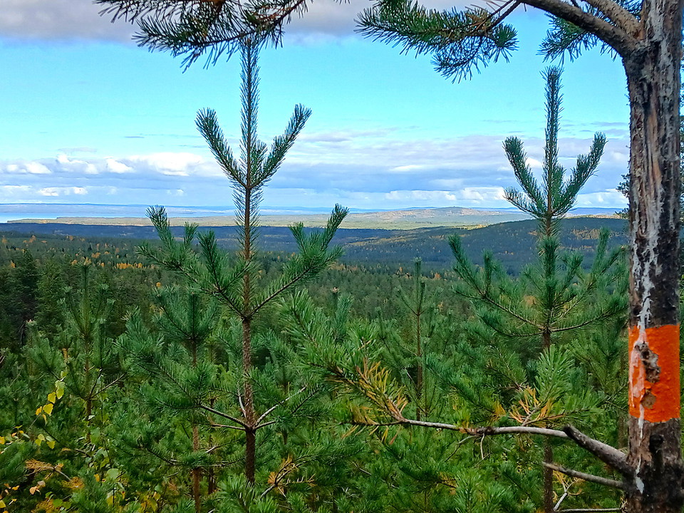Vy mot Rättvik från Långsåsberget