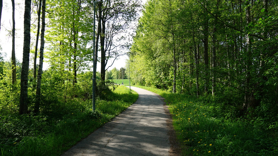 Gång- och cykelväg genom grönområde