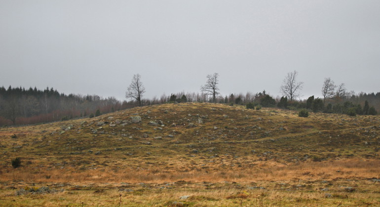 Högabjär.