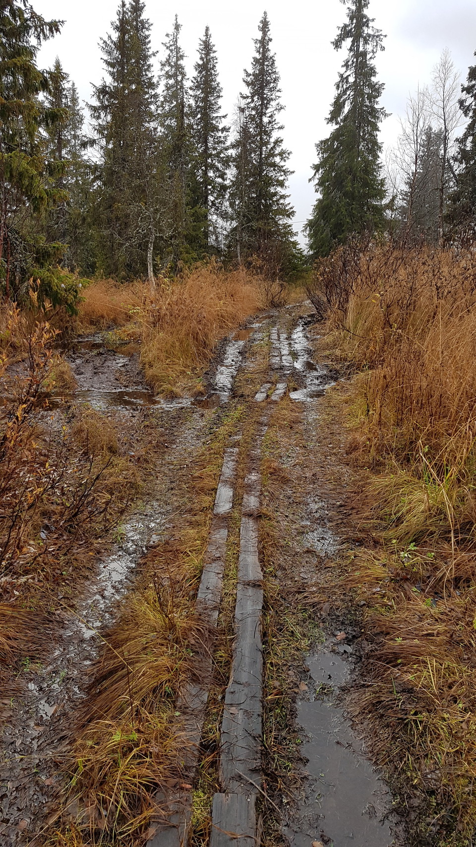 Fotograf: Nils Hallberg, Naturvårdsverket